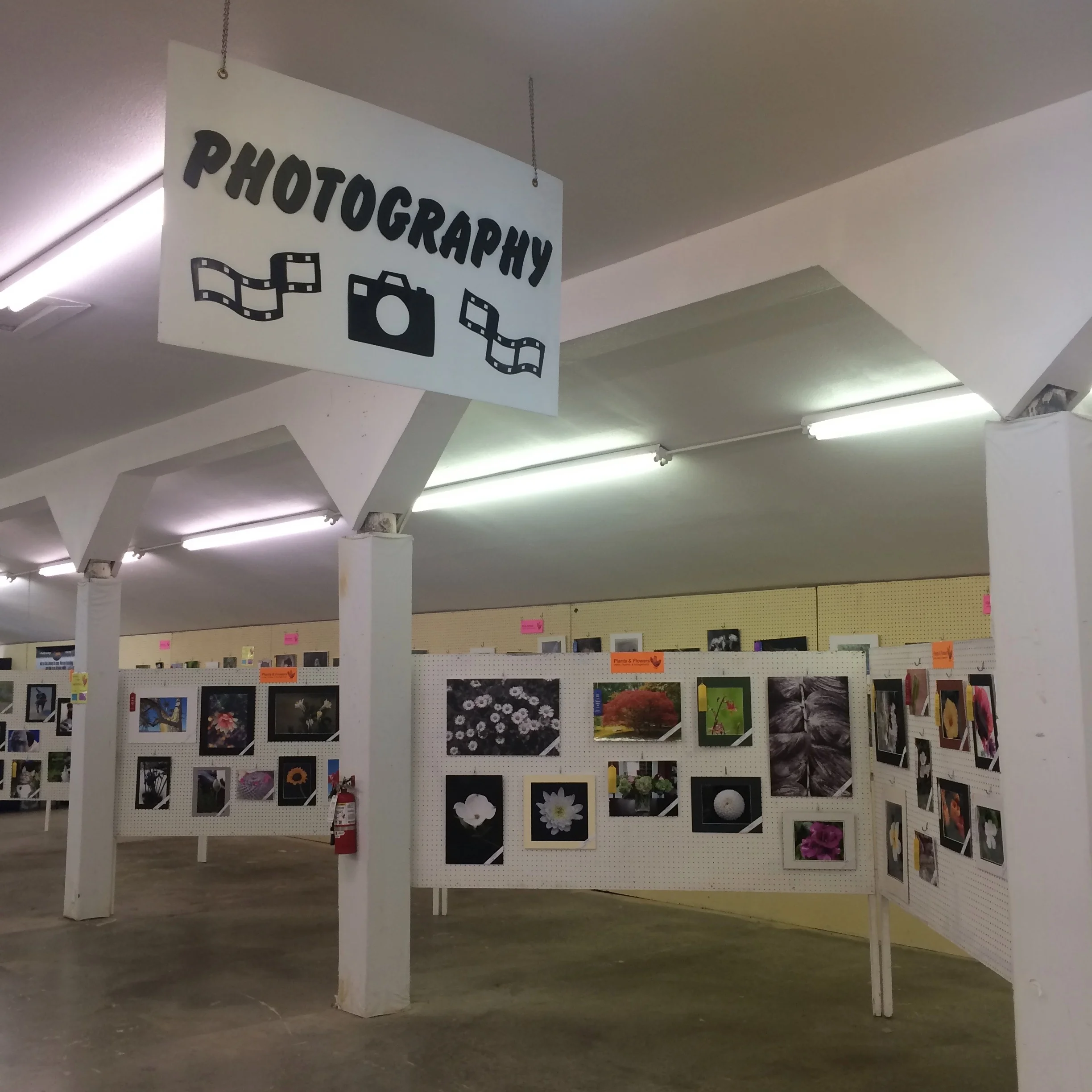 The photography room at the Thurston County Fair, 2018.