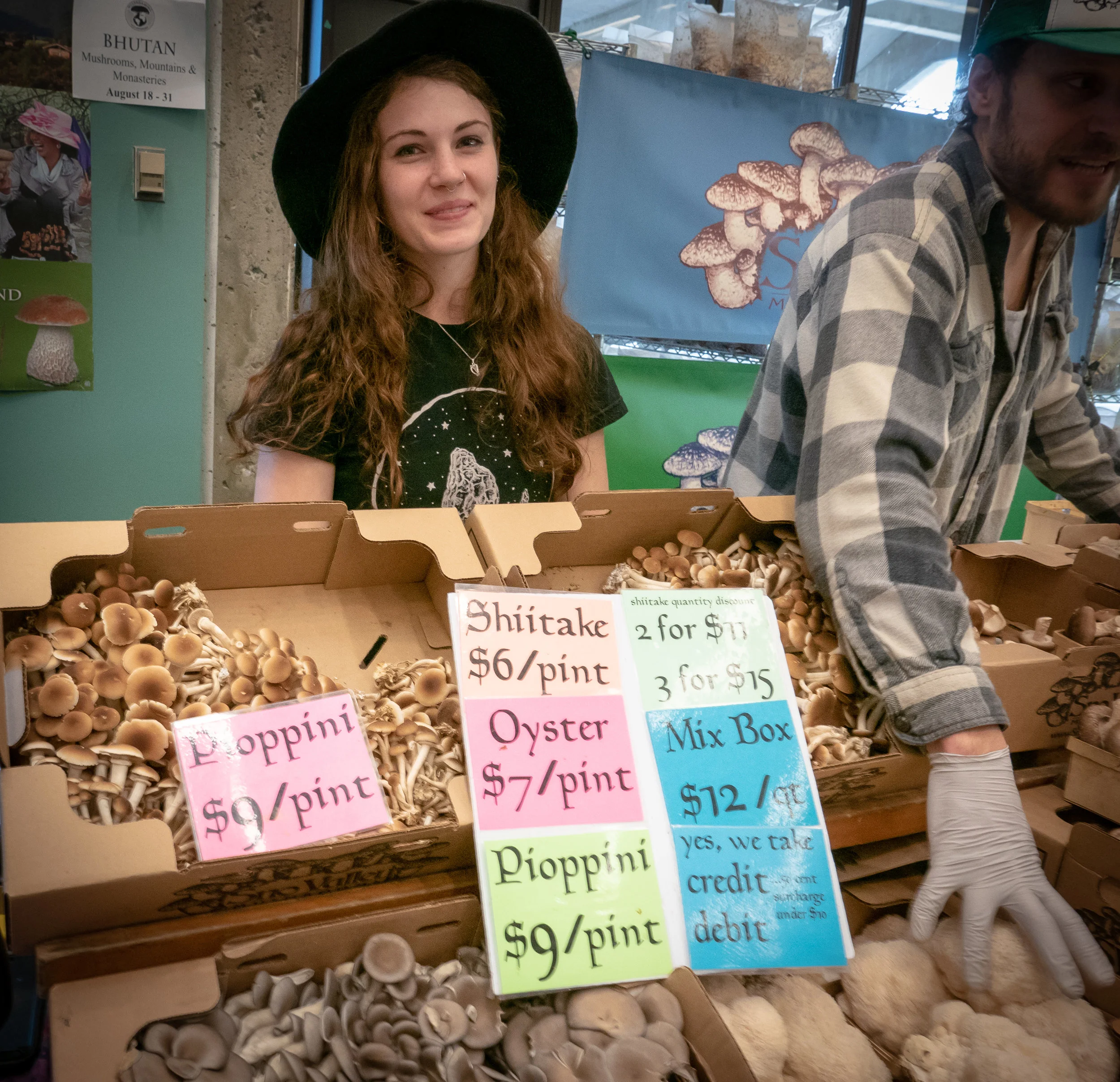 fungus-1000800.jpg