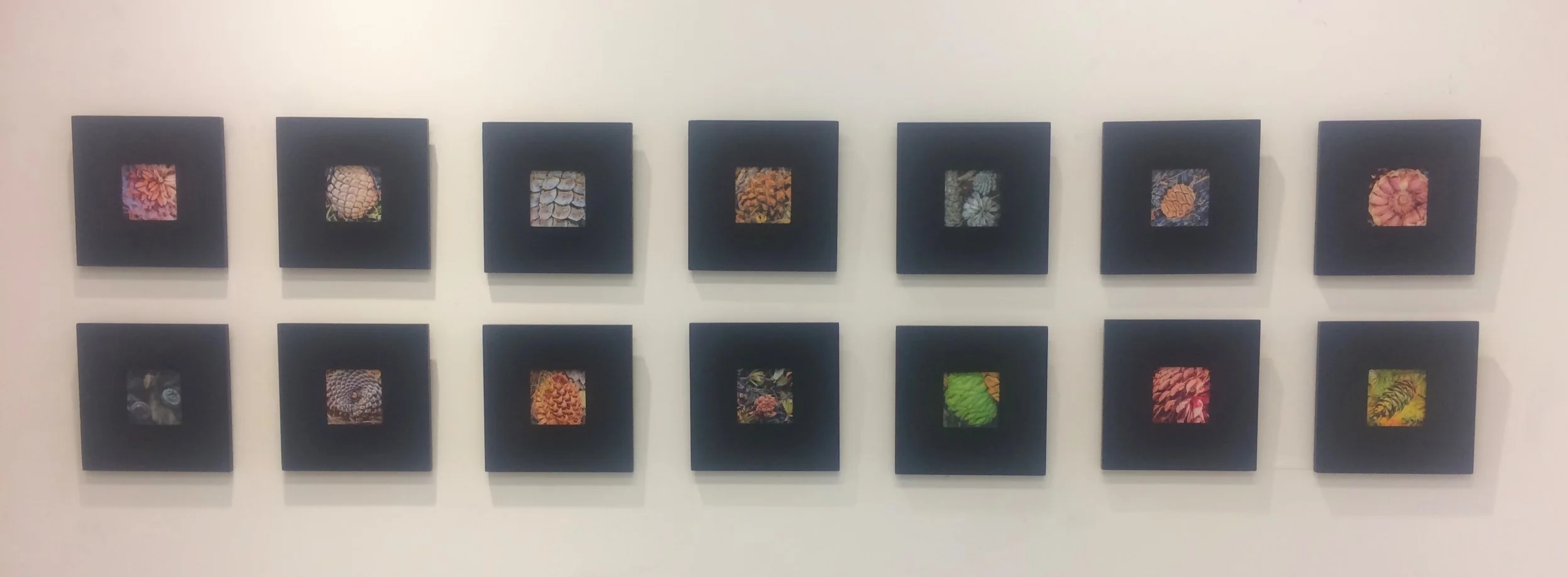 My Cone Collection exhibit at M Street Gallery, August, 2018 in Fresno, Calif.
