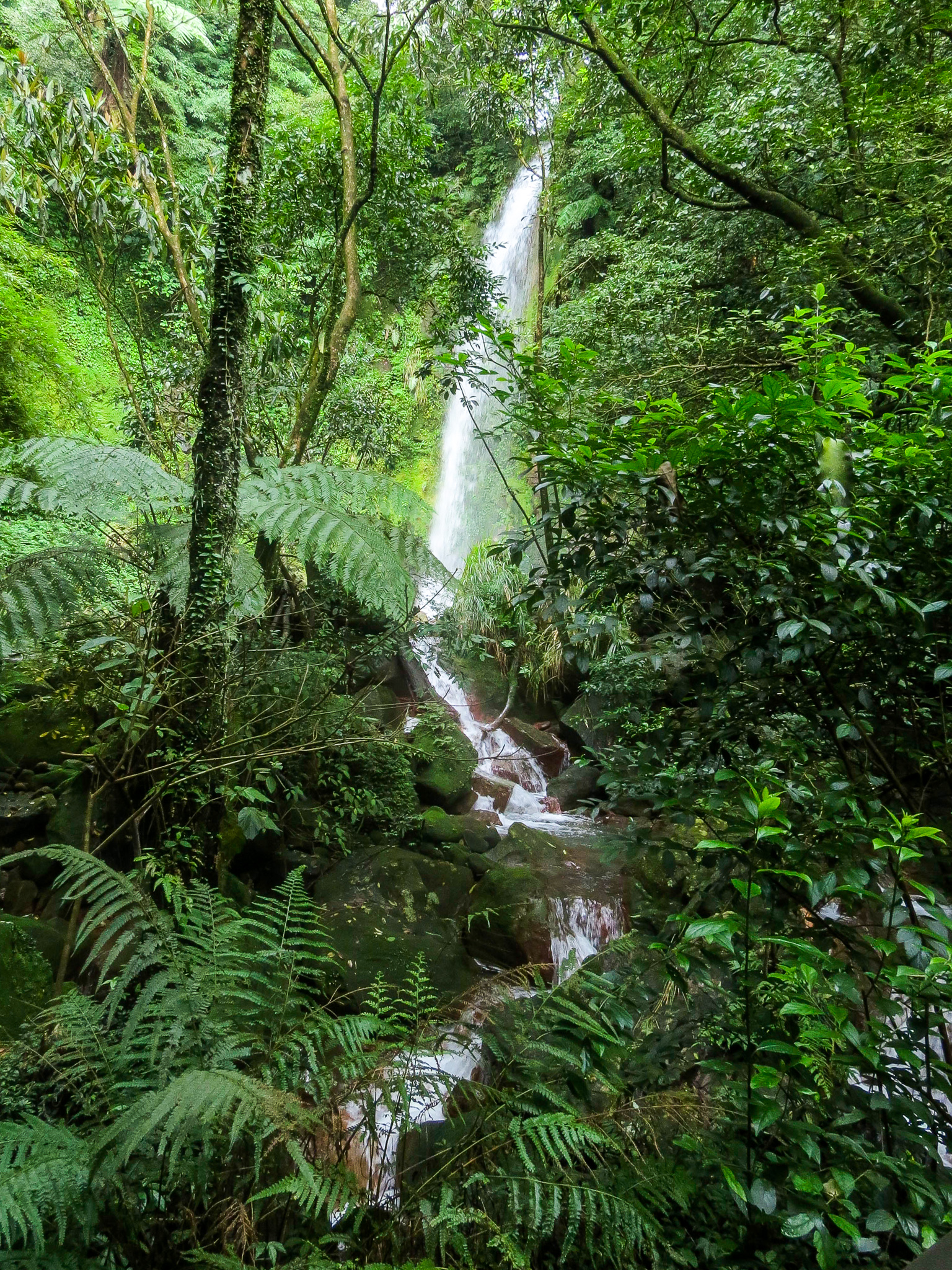 A waterfall in Yangmingshan National Park .