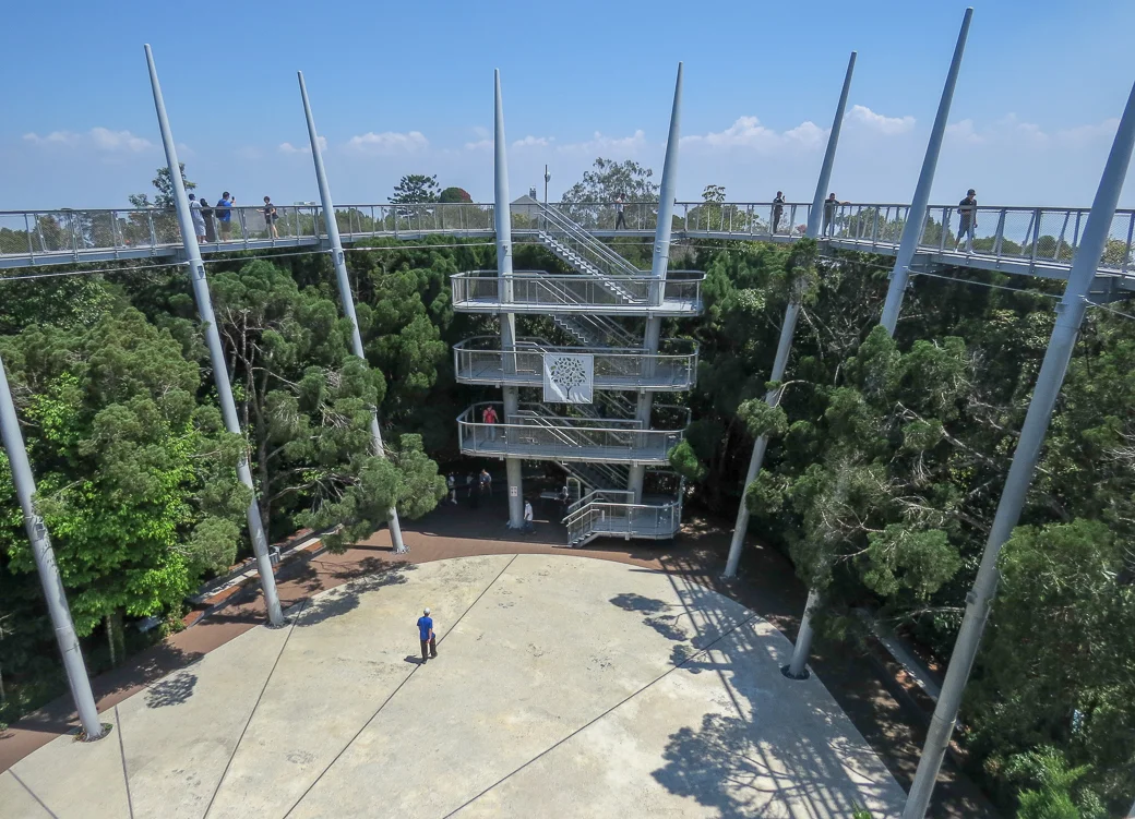 The canopy walkway at the top of Penang Hill, The Habitat.