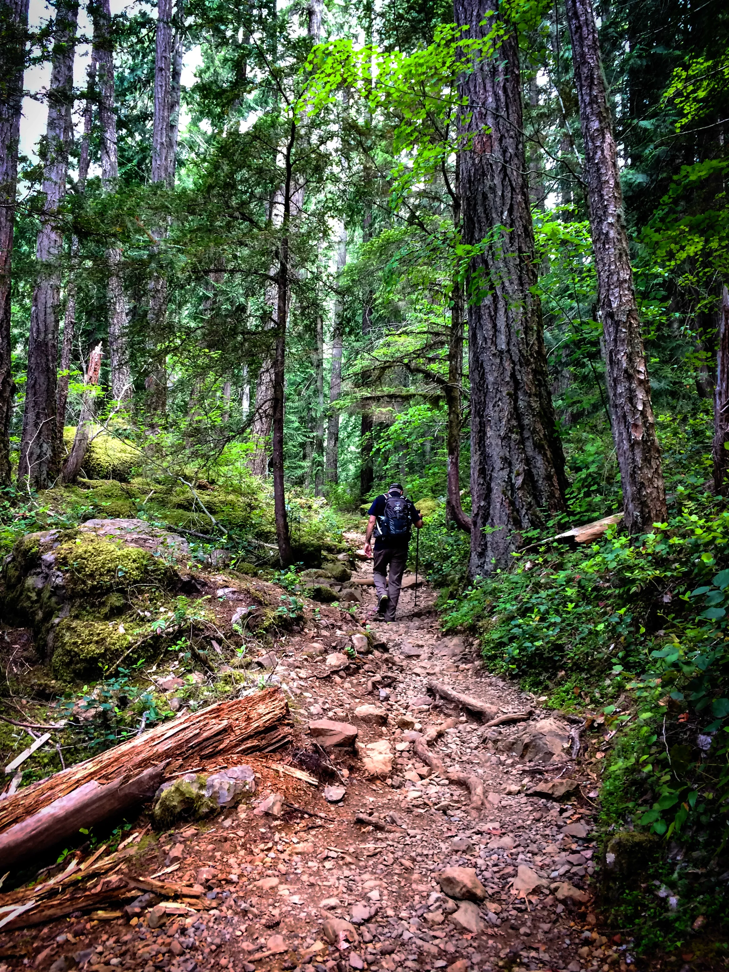 Following my Trusty Hiking Husband.