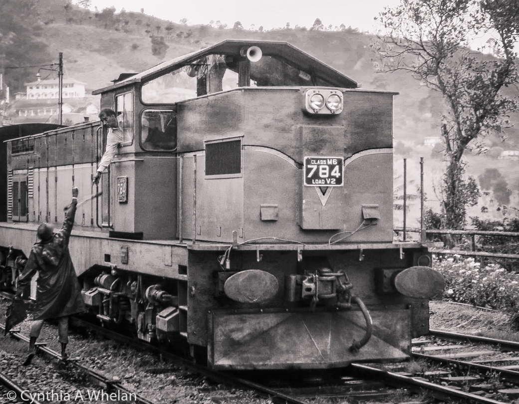 Sri Lanka Railway 2019_Cynthia A Whelan.jpg