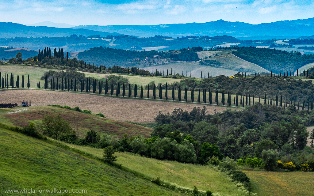 The Tuscany landscape, from my previous travels to Italy.