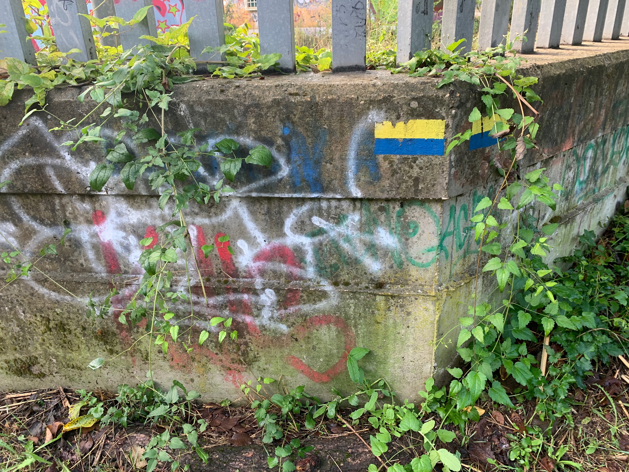 The yellow and blue trail marker showing us the way.