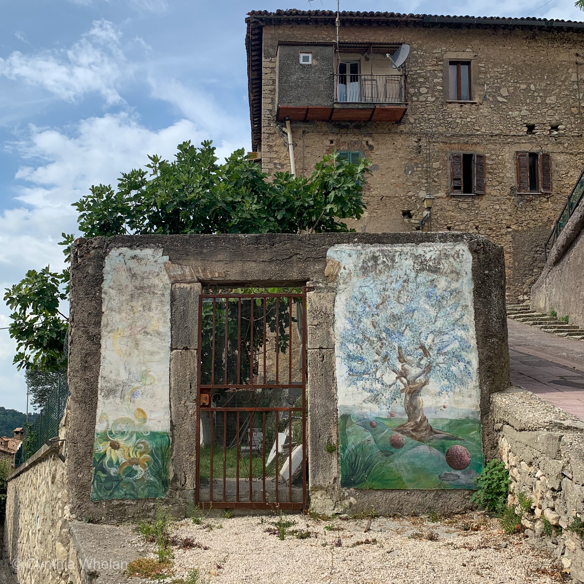 IMG_0722.jpeg