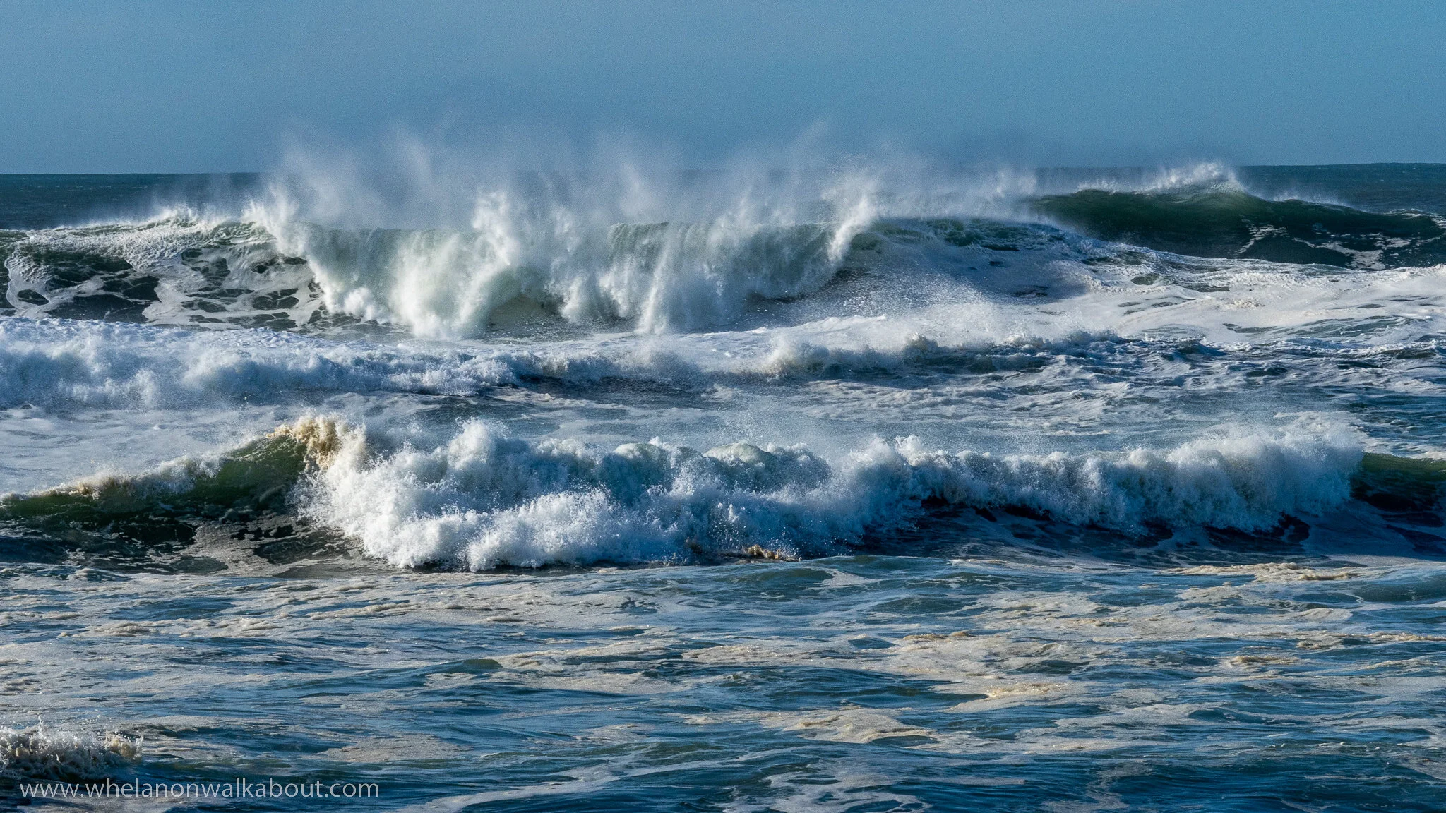 Westport Cynthia A Whelan-1100145