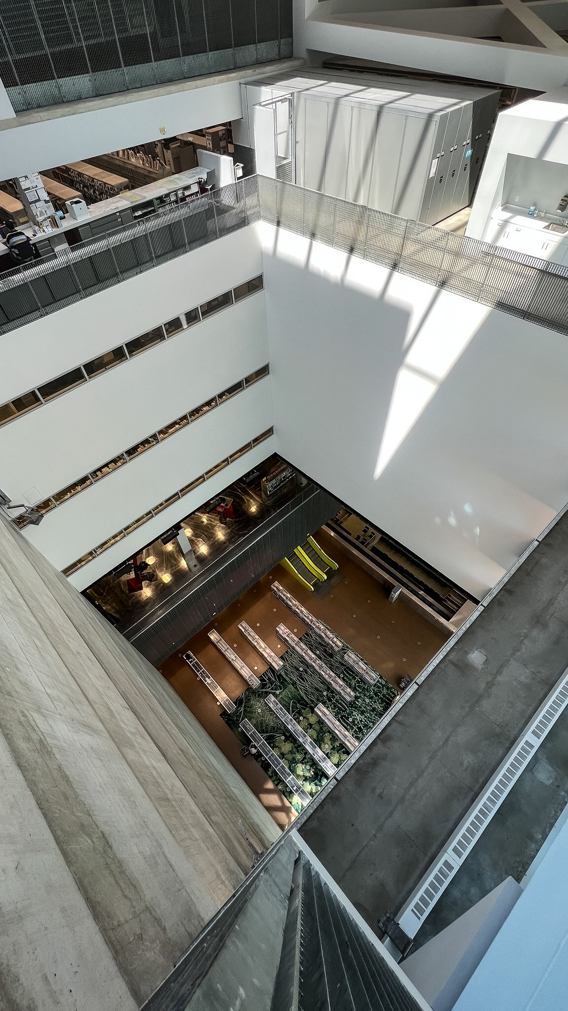 Cynthia Whelan Library