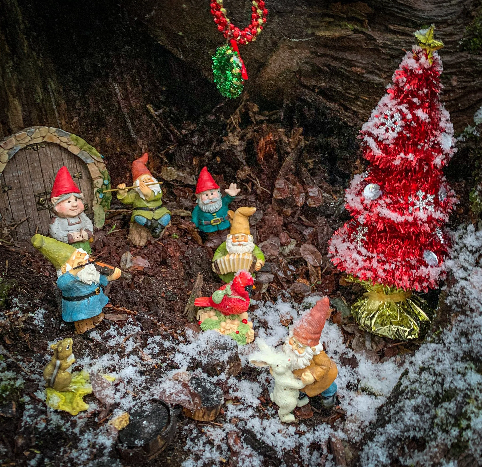 Gnome for the Holidays