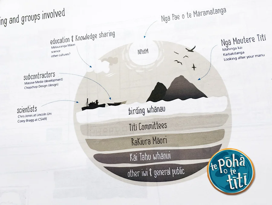 The design for the Pōhā o te Titi app and accompanying docs involved many shapes made using Illustrator