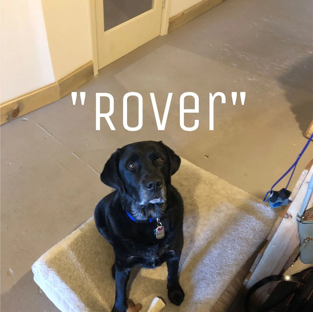 Rover.jpg