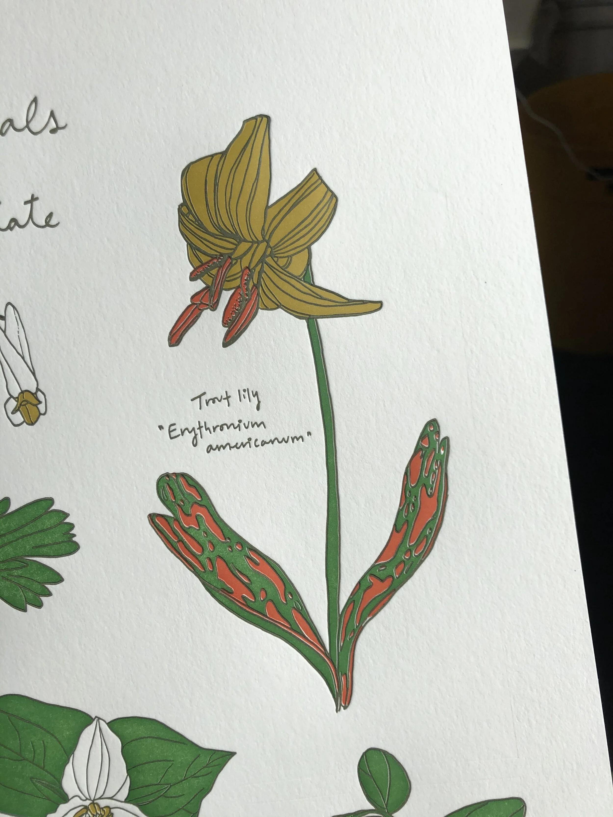 AB557694-742C-4299-BE52-E76BB8D5E6A7