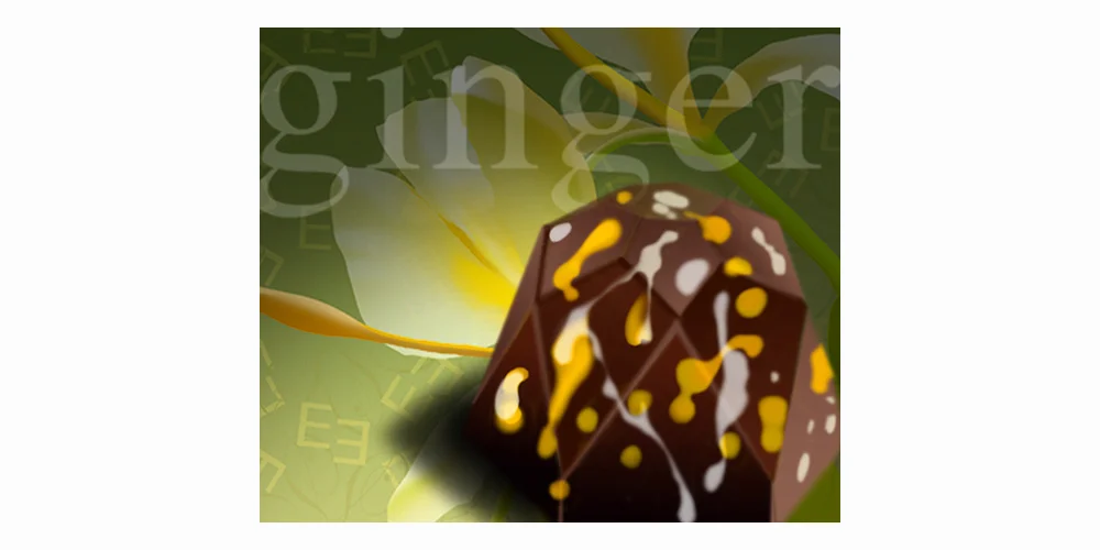 ginger1.jpg