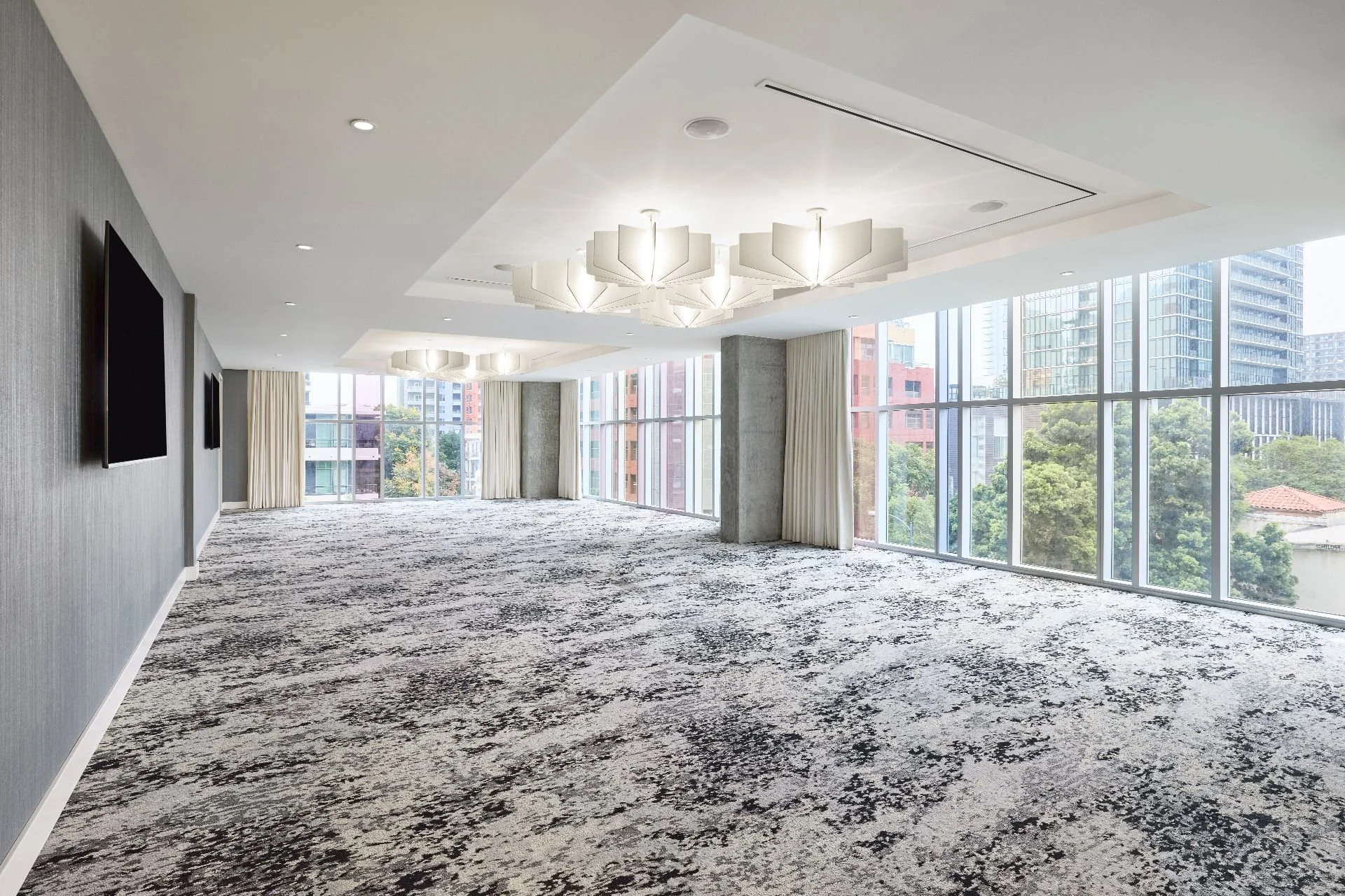 compressed-AMICI - WIDE.jpg