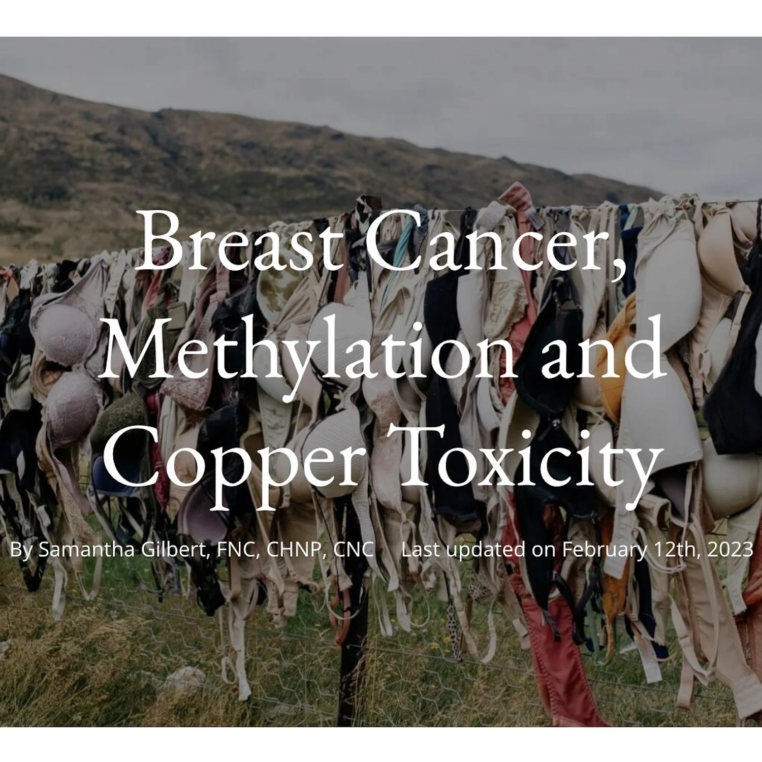Breast Cancer, Methylation and Copper Toxicity