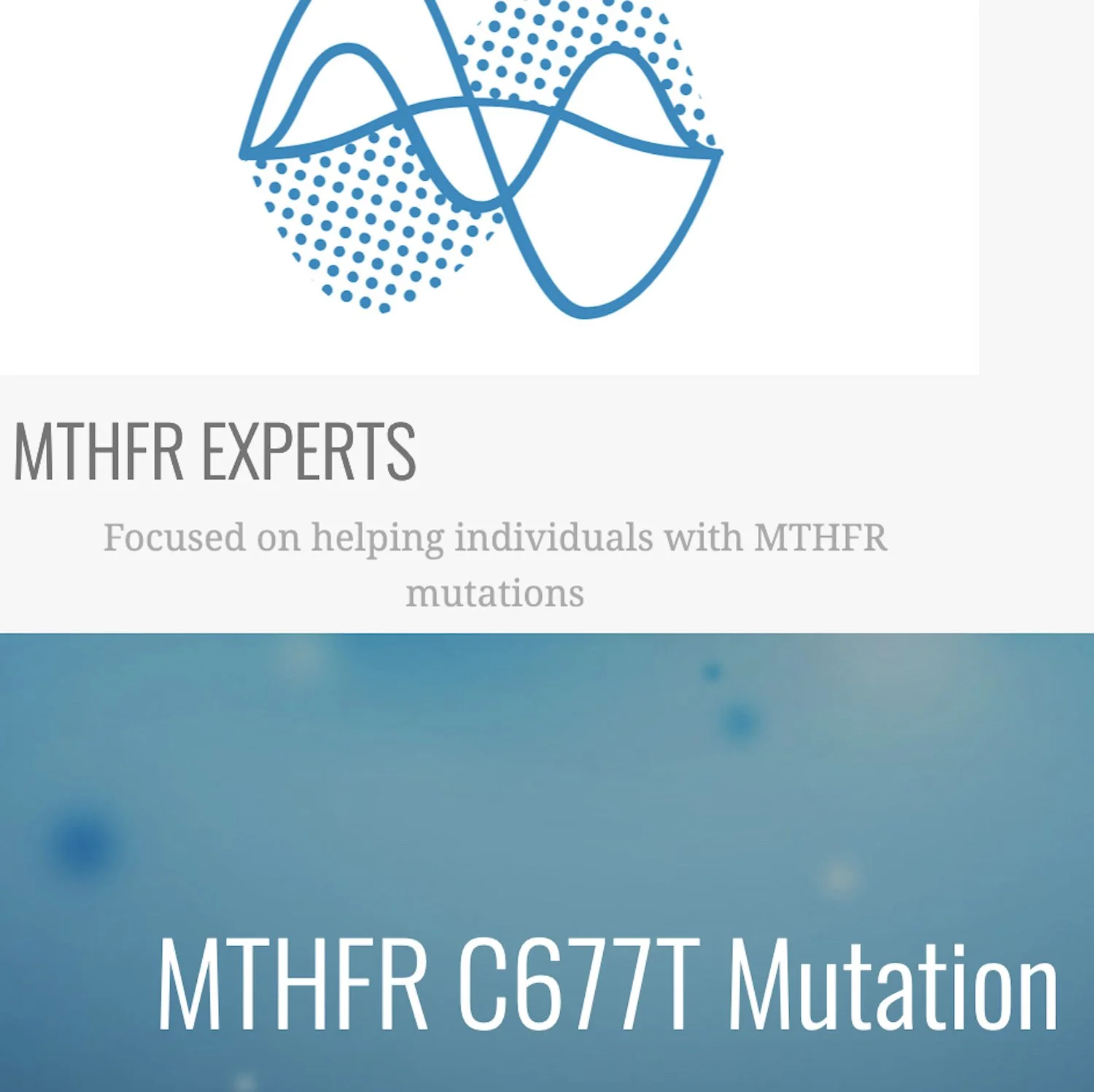 MTHFR C677T Mutation - What Does That Actually Mean?