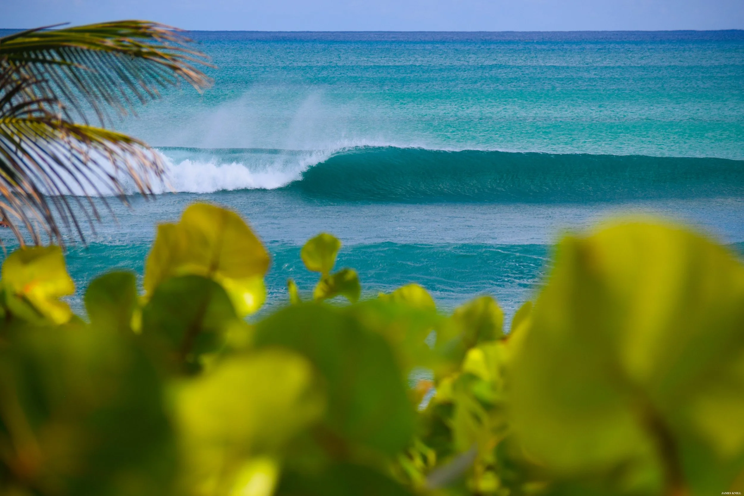 Left-hand wave - FLORIDA