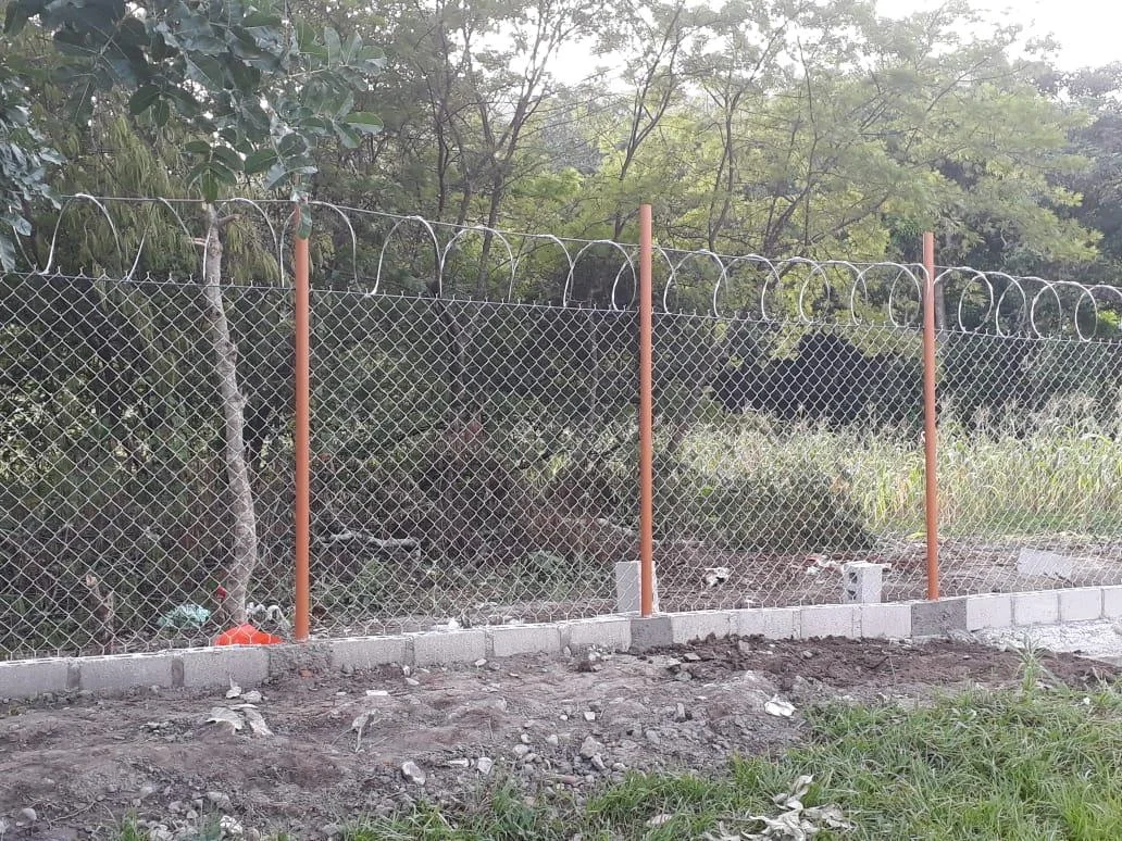 image3.jpg