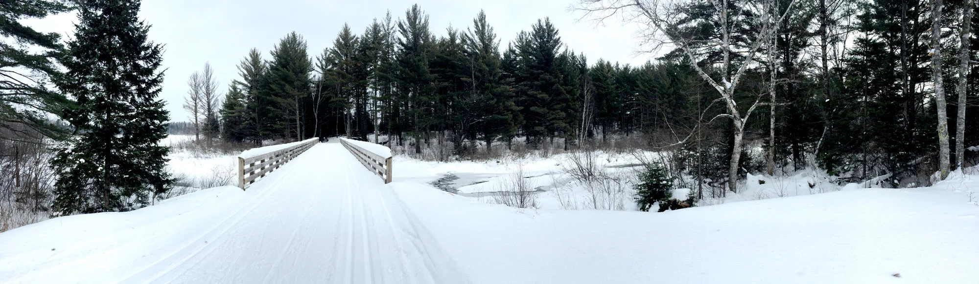 Turtle Trailhead