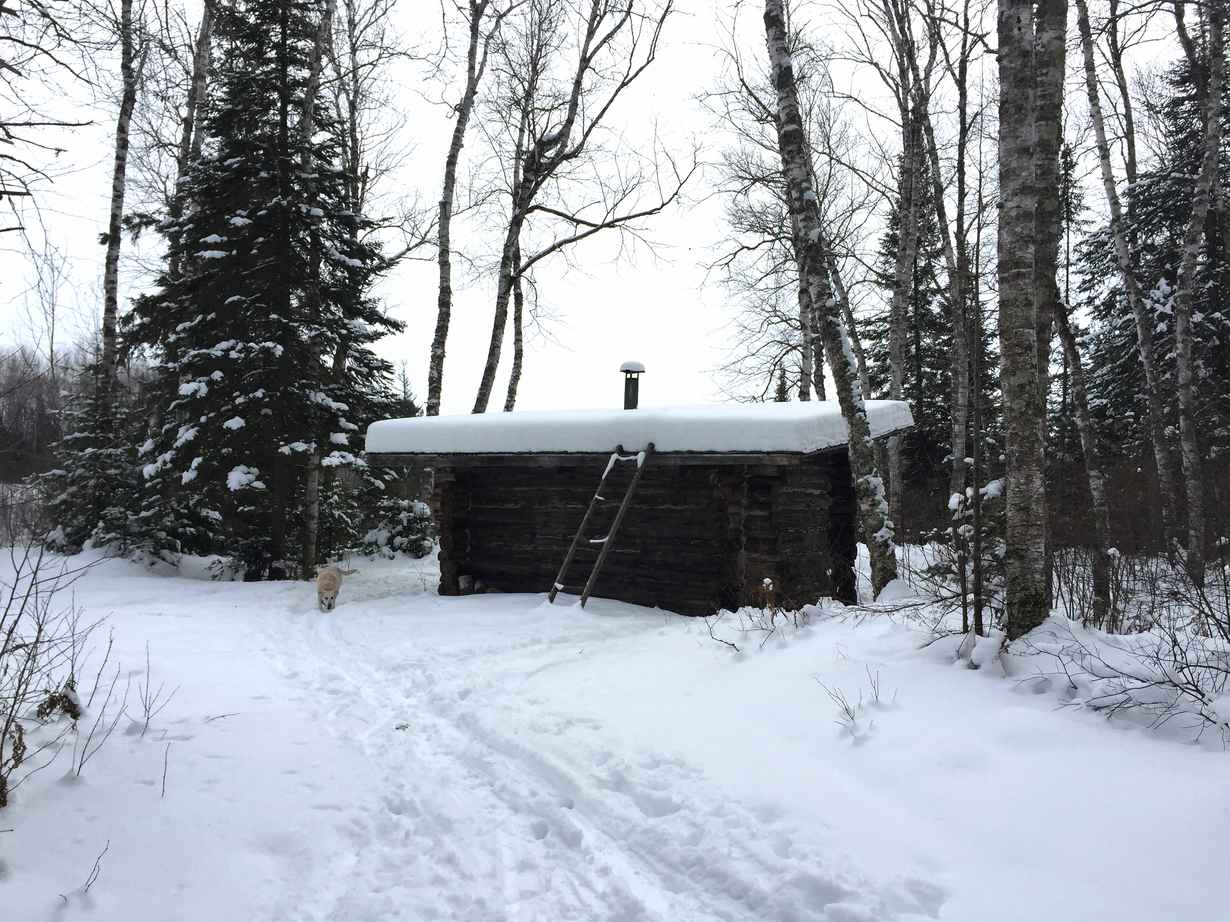 Along the Little Turtle Trailhead, you'll stumble upon the John F. Olson Cabin. It now serves as a warming cabin that anyone can stop by during their travels along the trails.