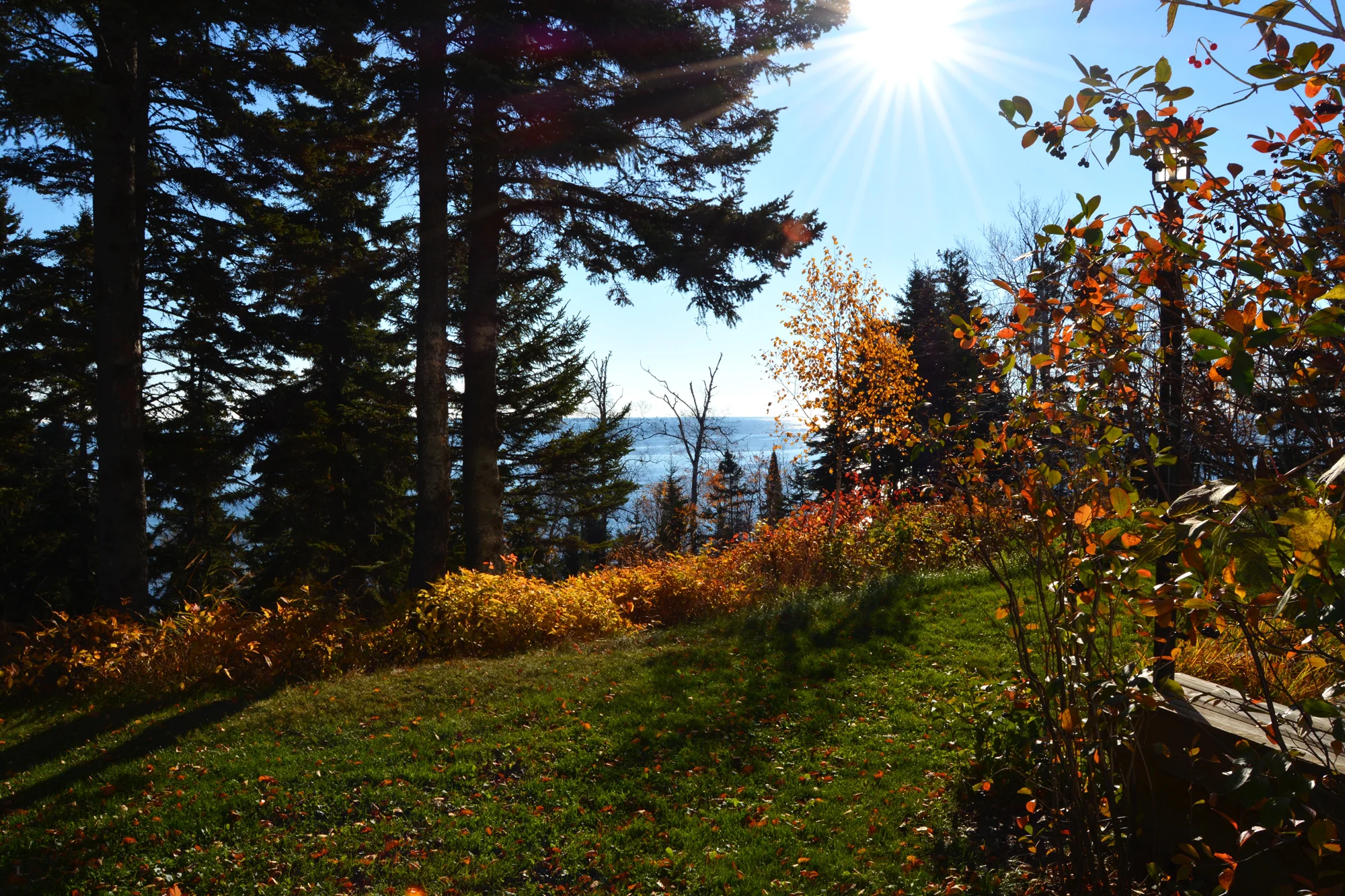 View from the Cliff House Townhomes at Lutsen