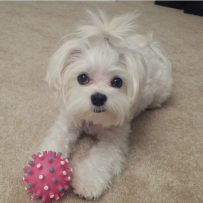 Bella demands respect!
