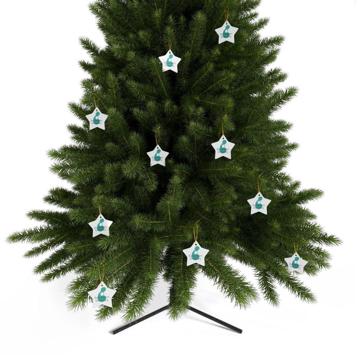 8fd5ad5b8a9059e042f5ddac558845ad