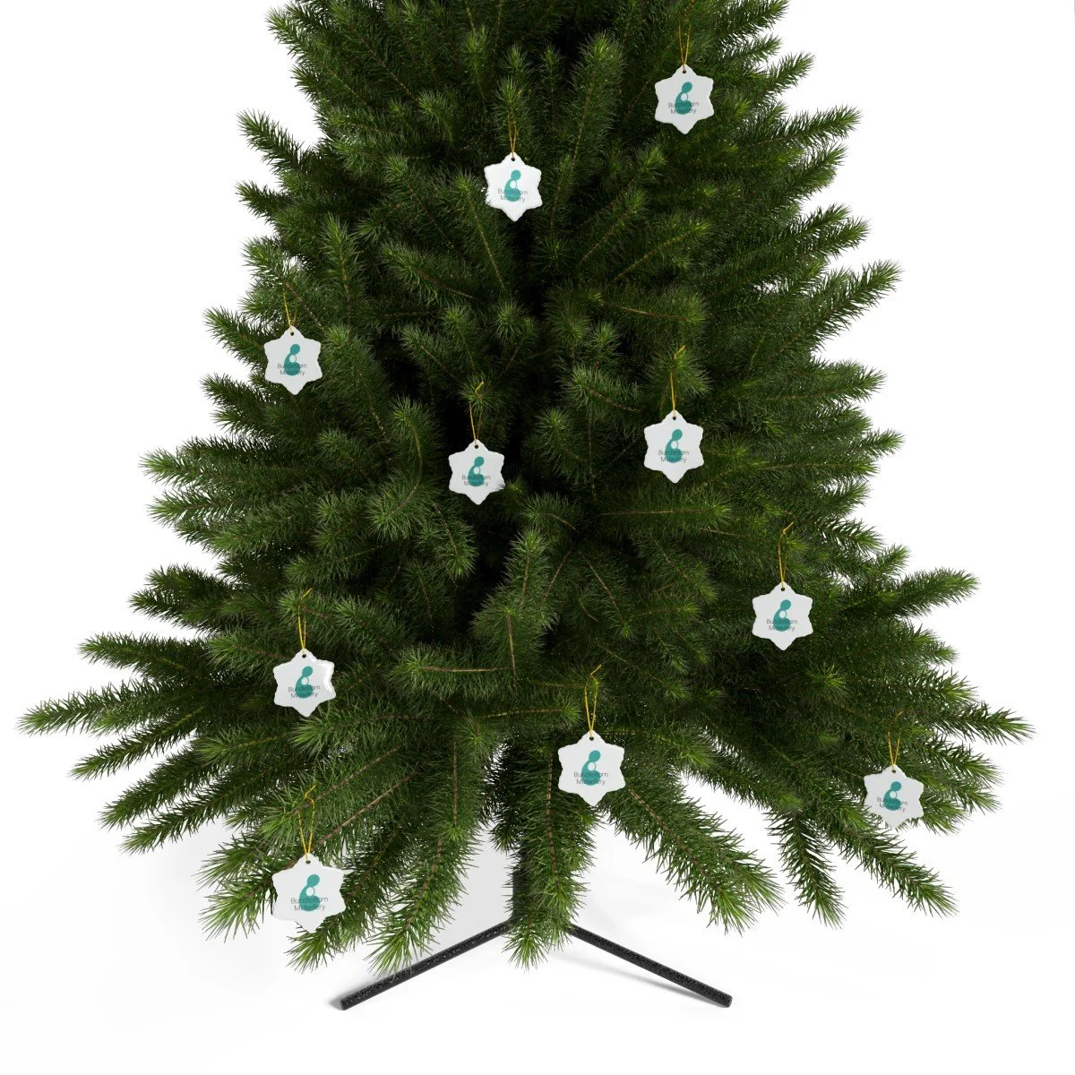 021cb7ccd9373394ef9f43835187a31e