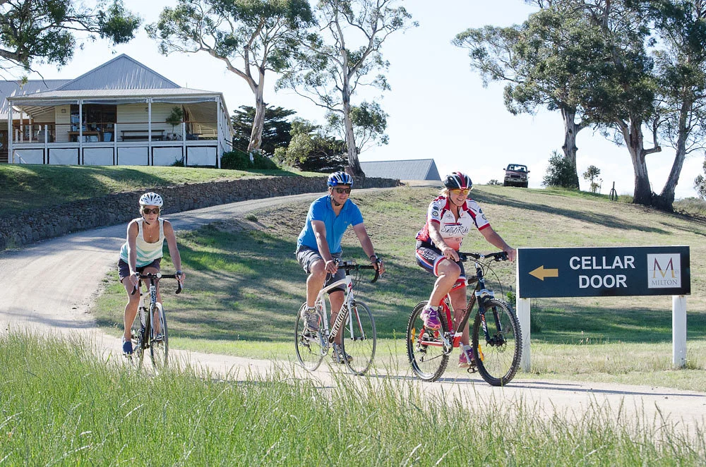 Swansea_Bike_Tours-3658.jpg