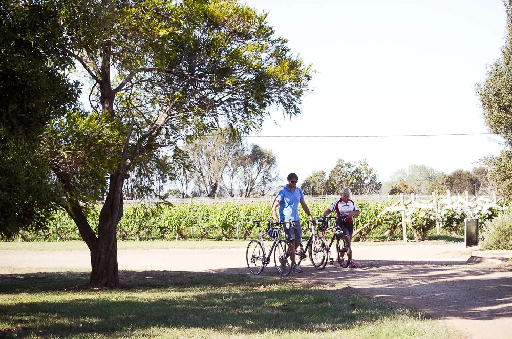 Swansea_Bike_Tours-3596.jpg
