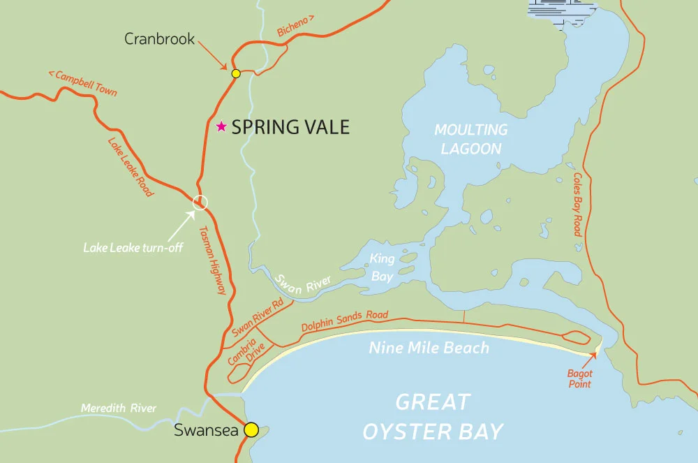 Swansea_Bike_Tours-spring-map.jpg
