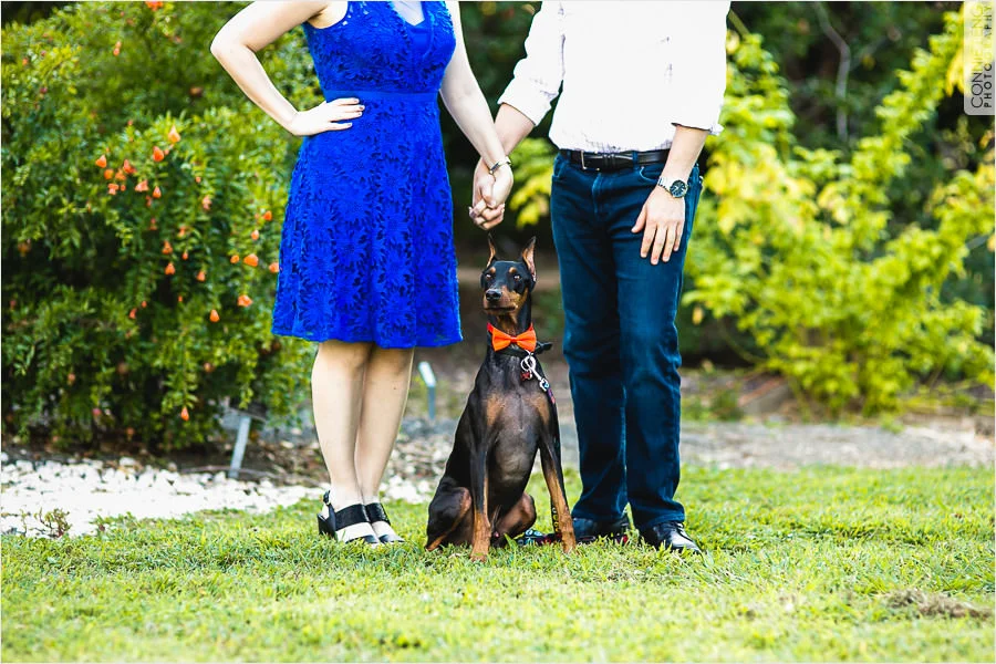 sb-engagement-001.jpg