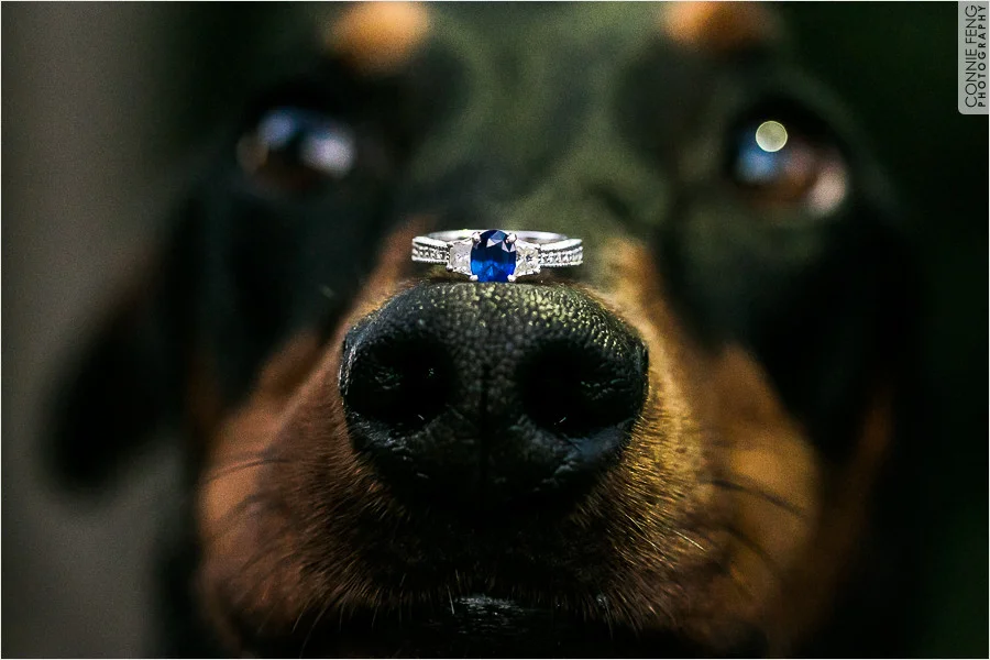 sb-engagement-056.jpg