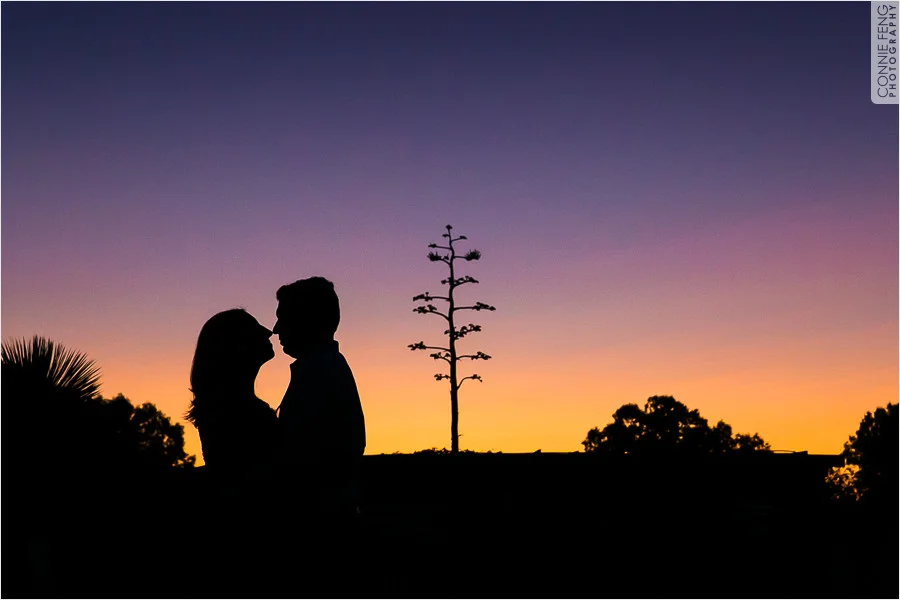 sb-engagement-060.jpg