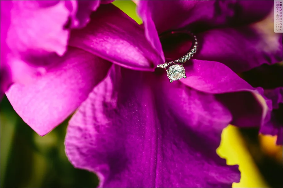 erica-matt-engagement-16.jpg