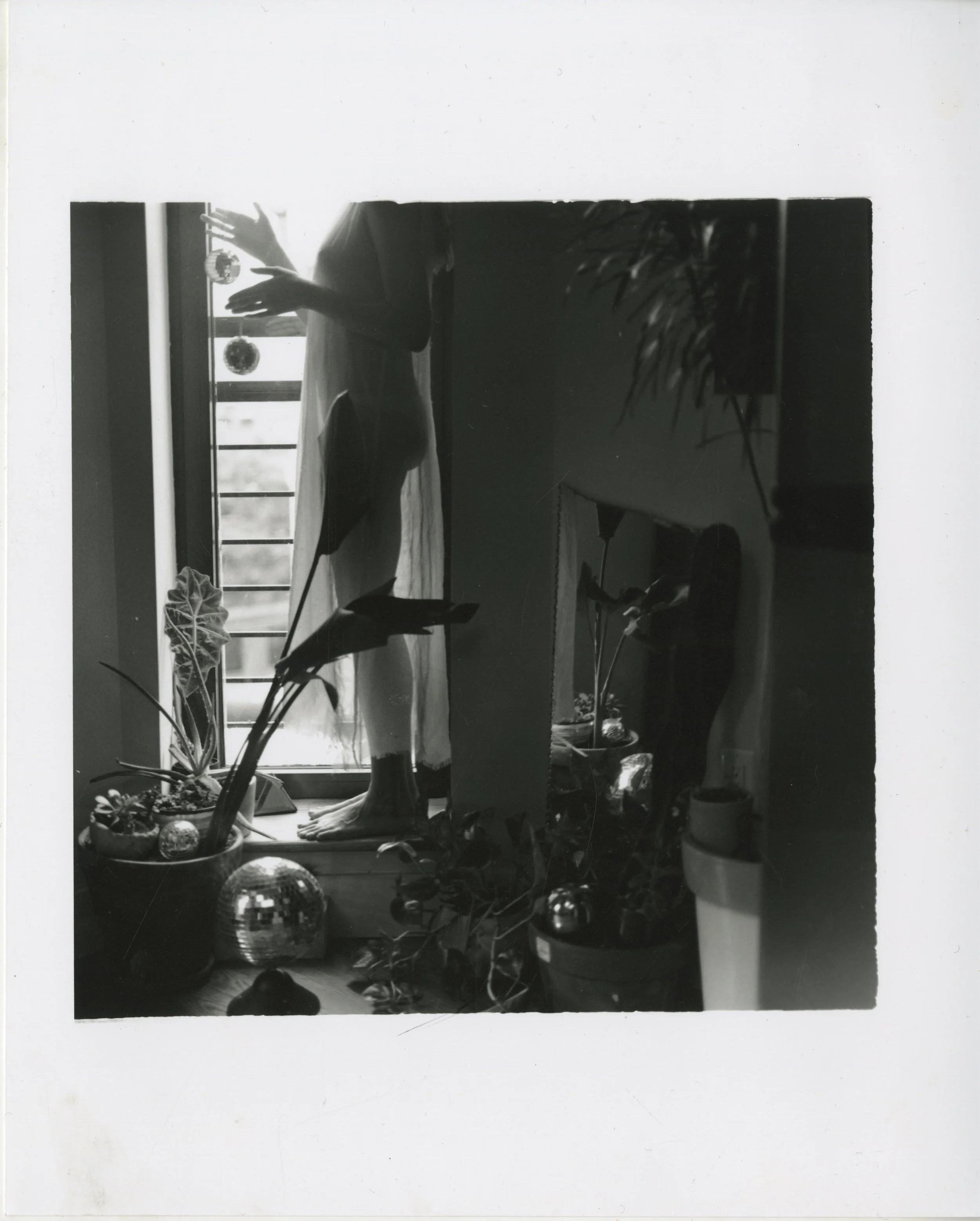 Talassazan_Gabriella 2.jpeg