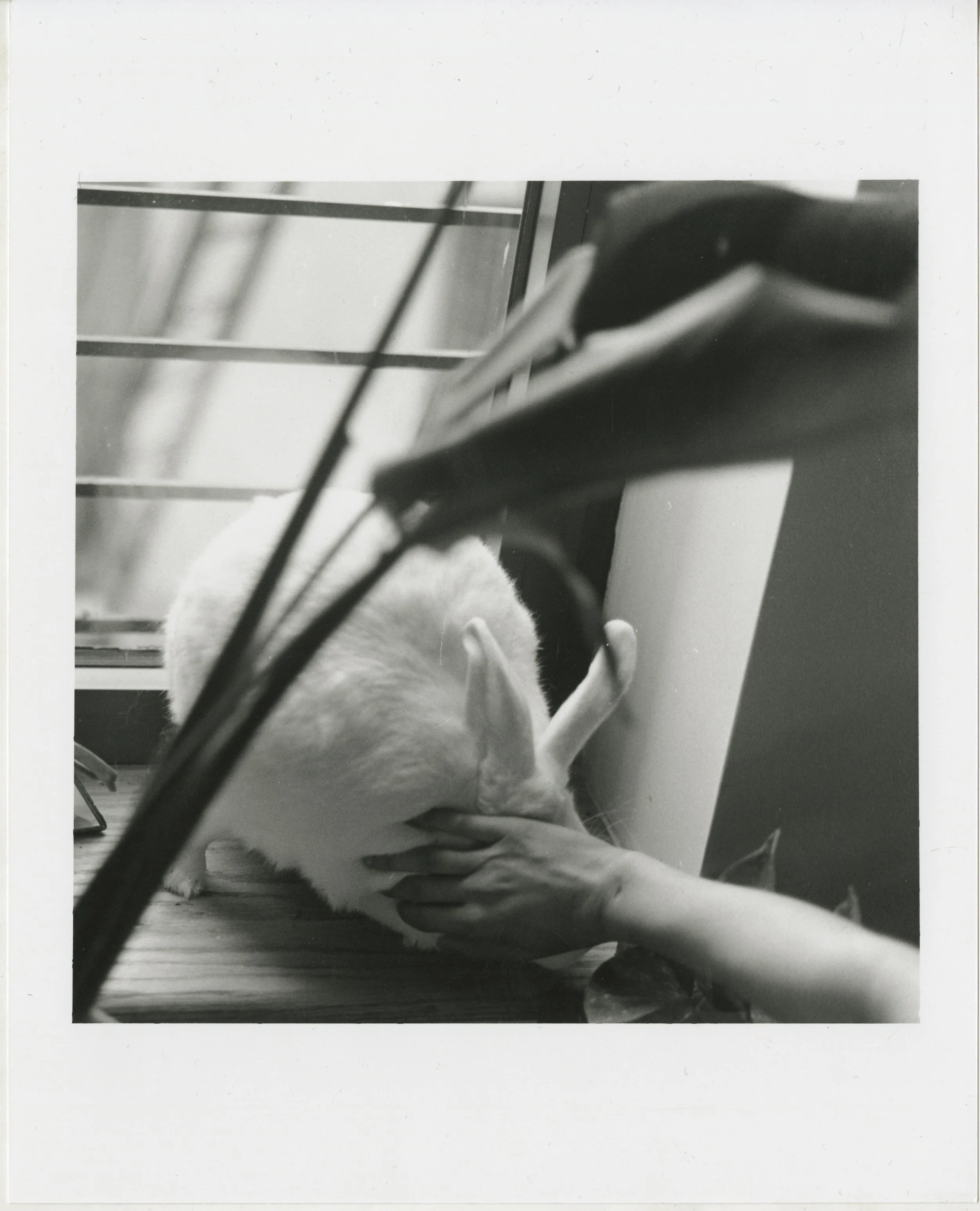 Talassazan_Gabriella 5.jpeg