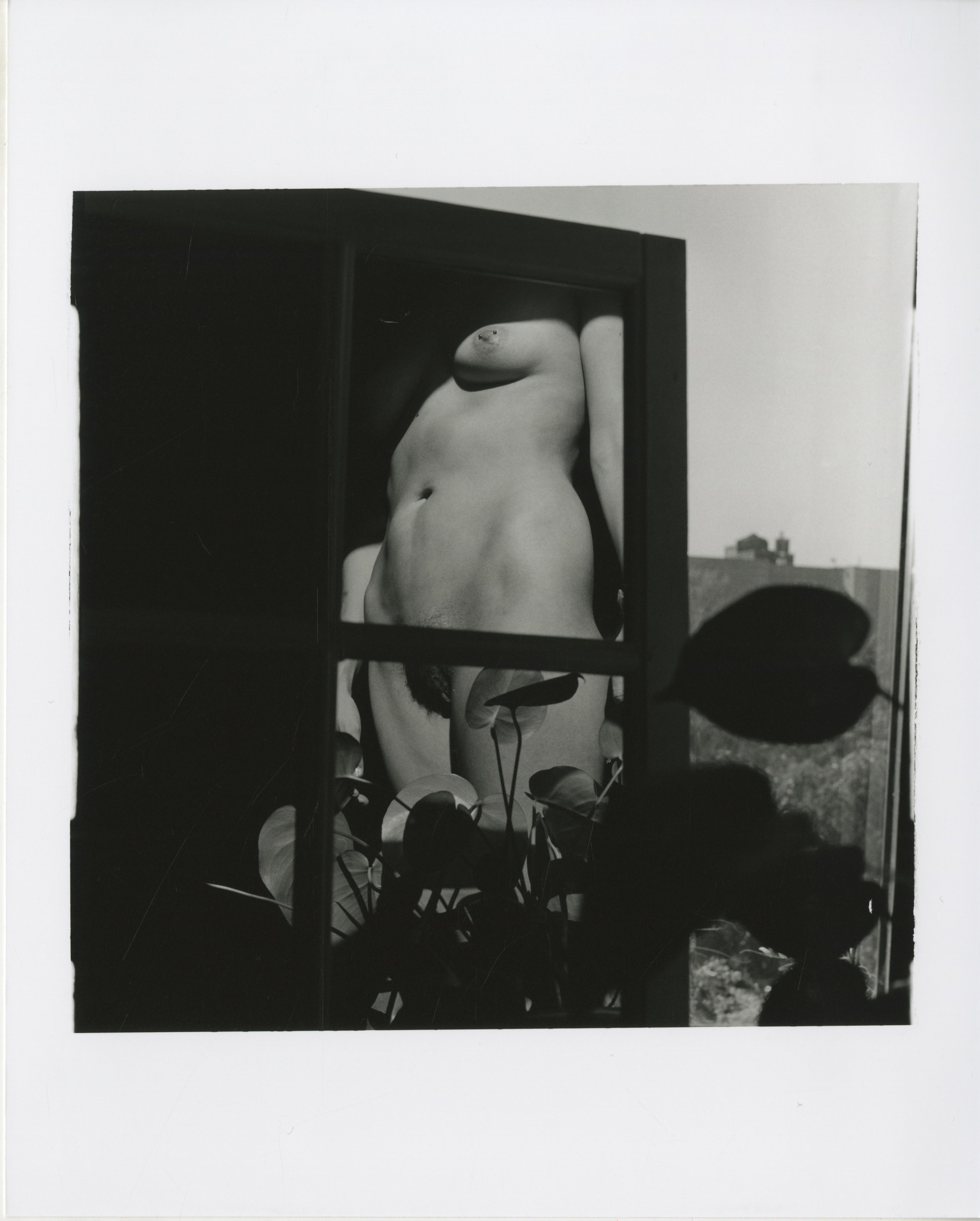 Talassazan_Gabriella 8.jpeg