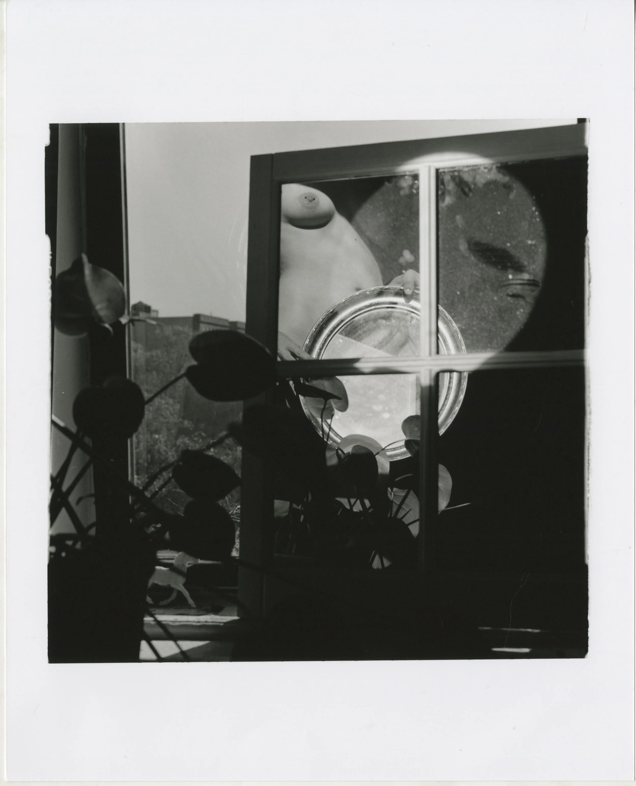 Talassazan_Gabriella 9.jpeg