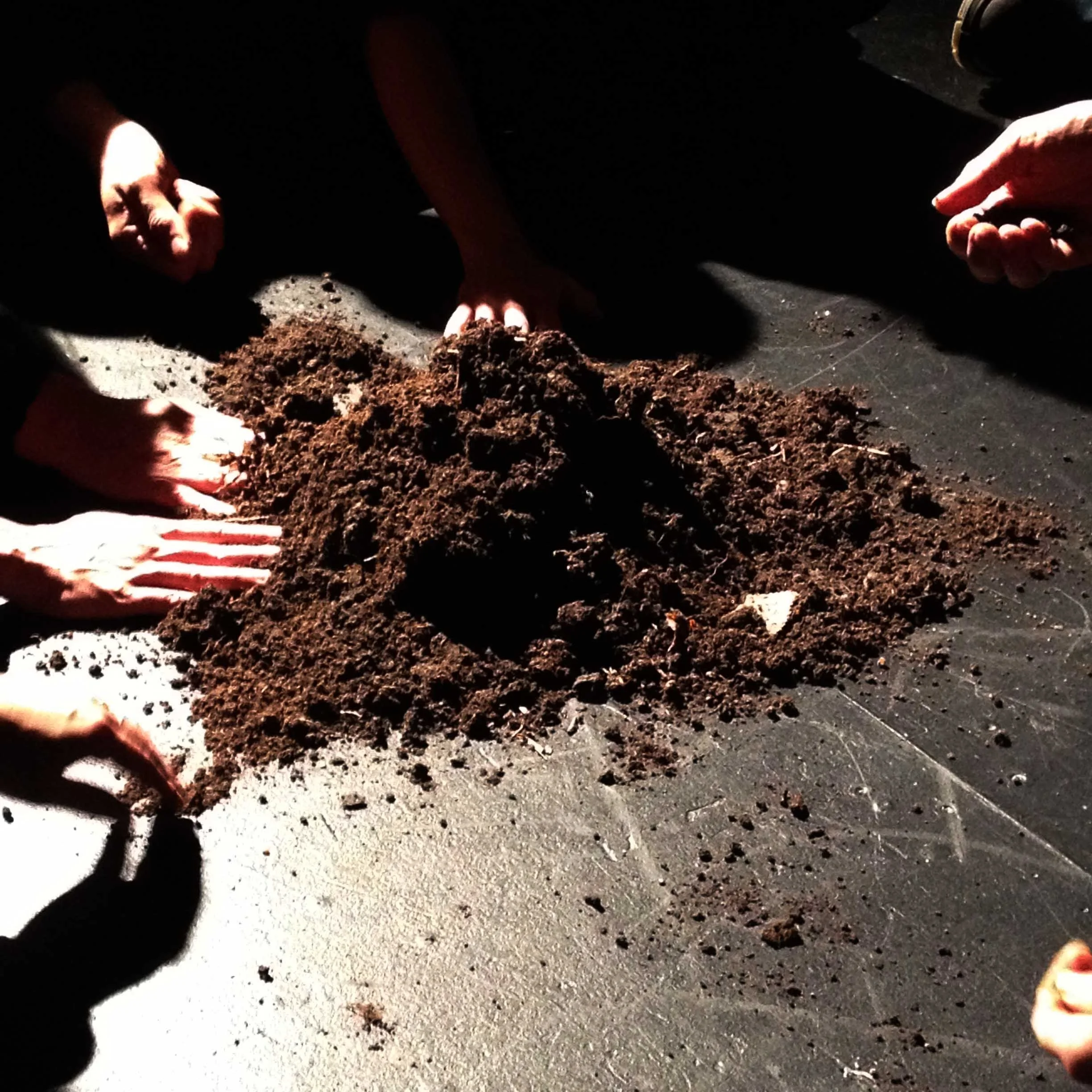 Soil Biome Immersion
