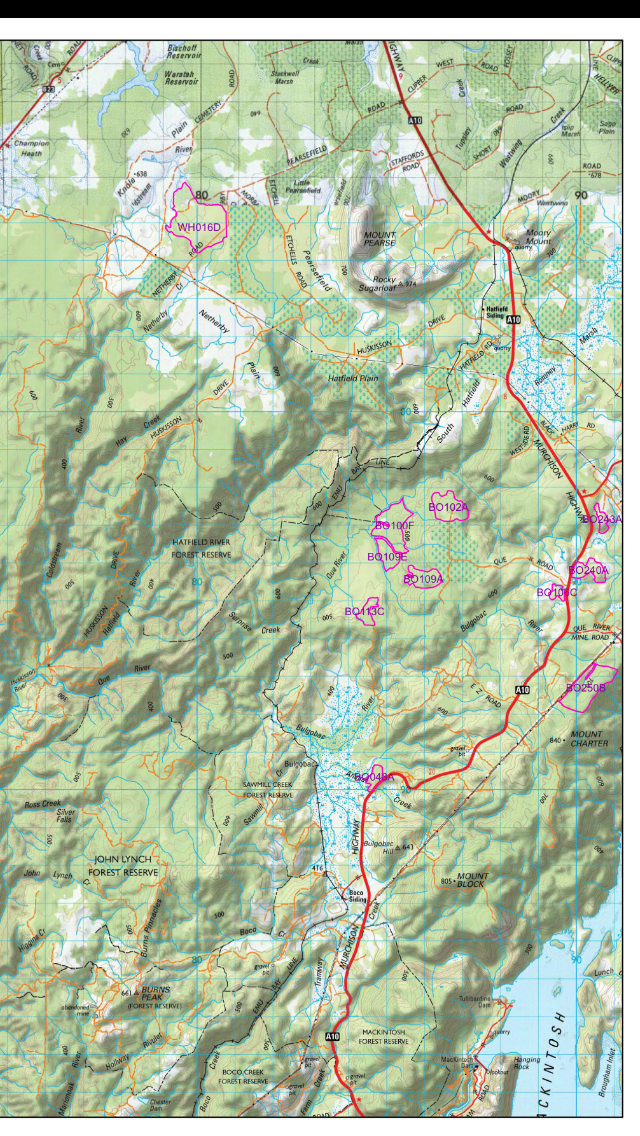 Tarkine Logging Coupes, Old Growth Forests on the edge of plantation.