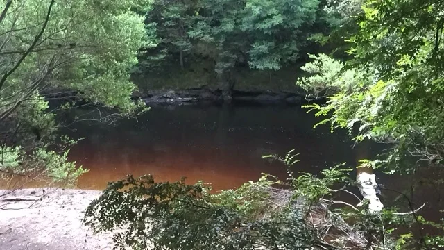 tarkine teahouse.JPG