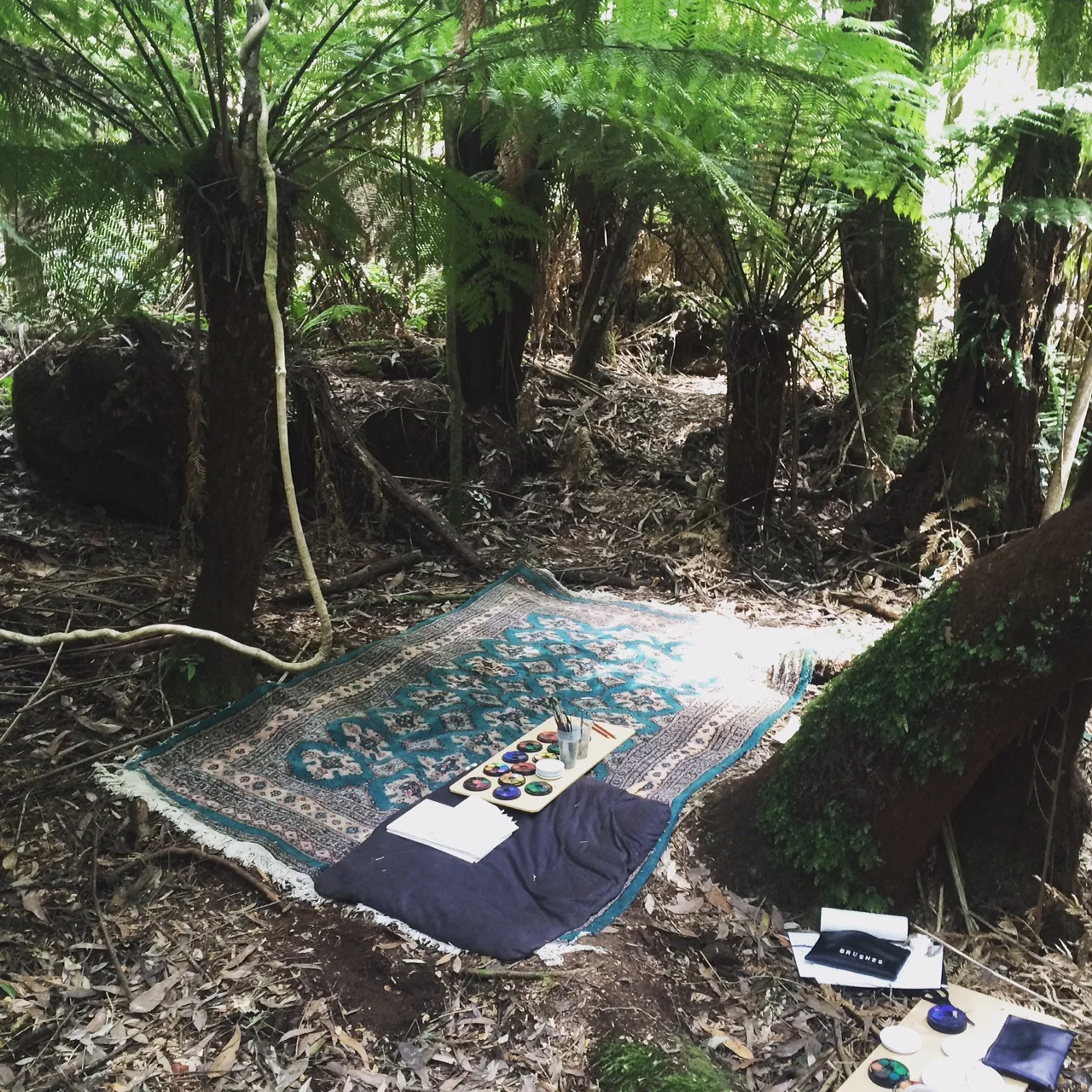 Collaborating with the rainforest creek