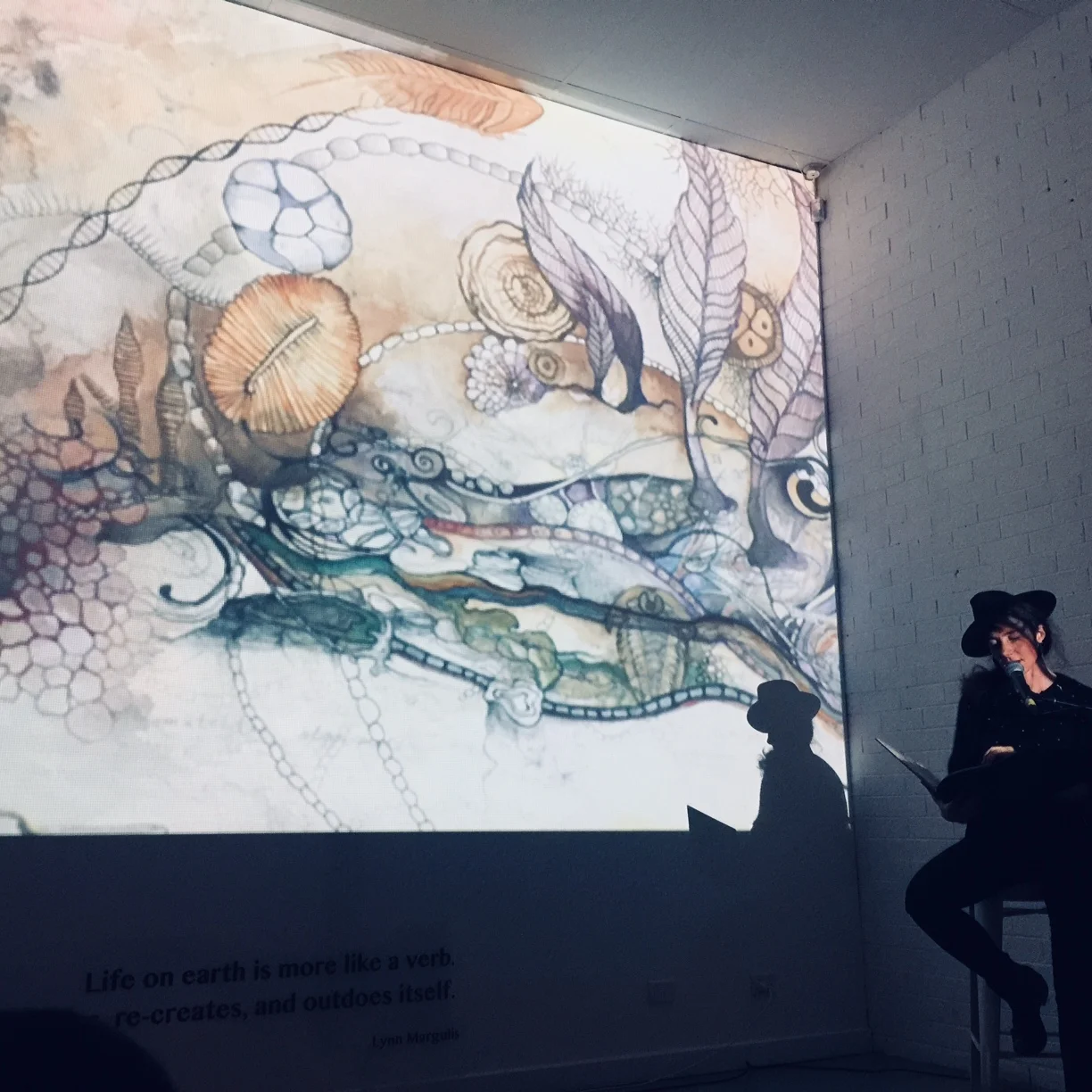 About — Aviva Reed