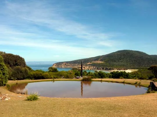 Peace Garden, Windgrove