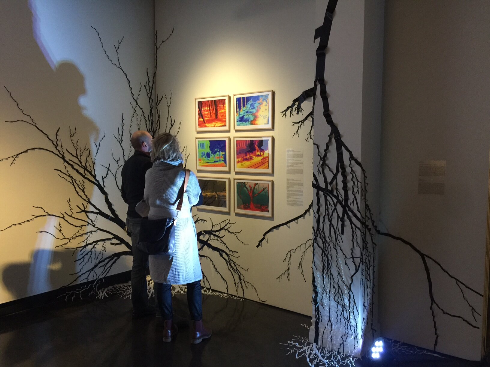 A tree's worth Heat and branching.JPG
