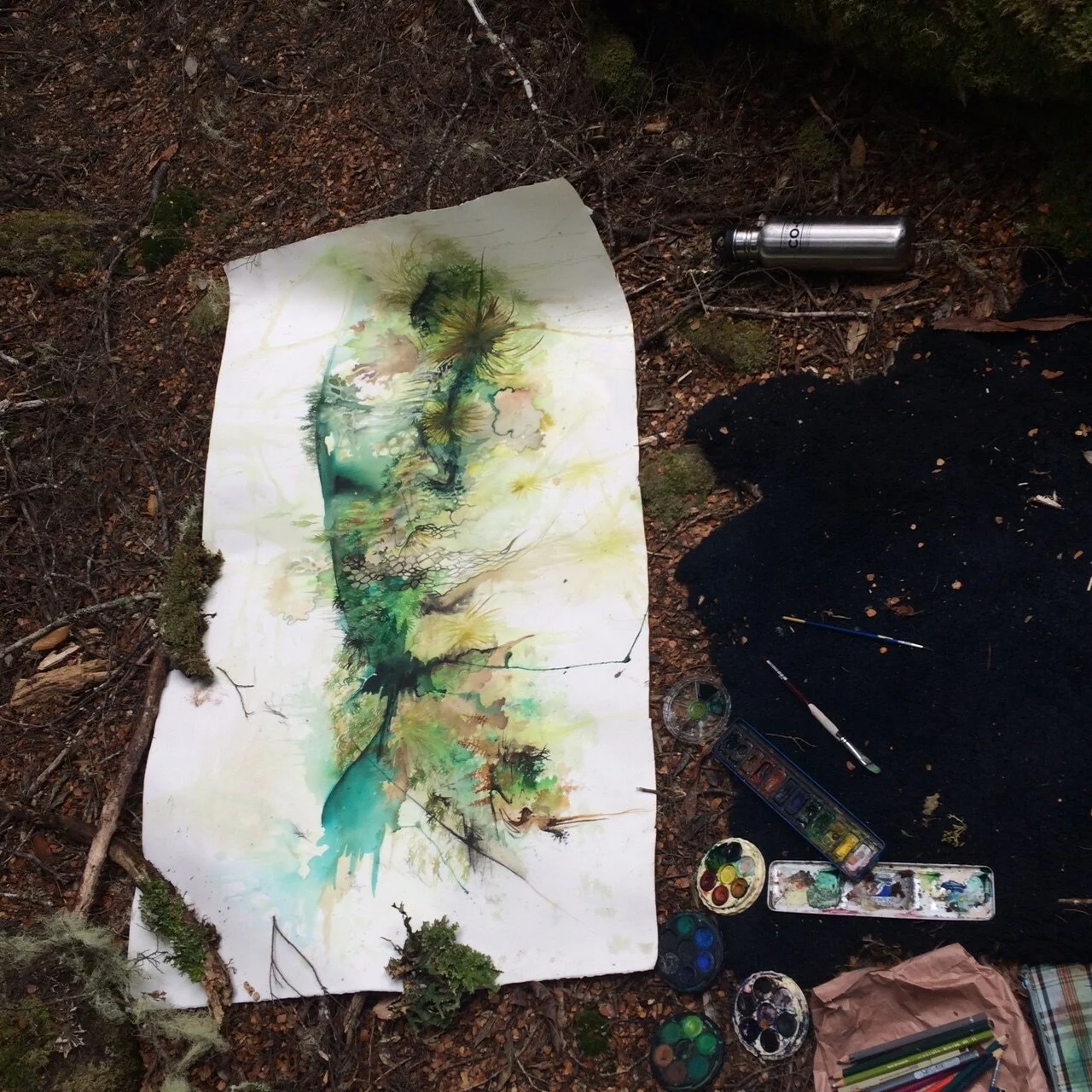 bryophytes work in progress.JPG