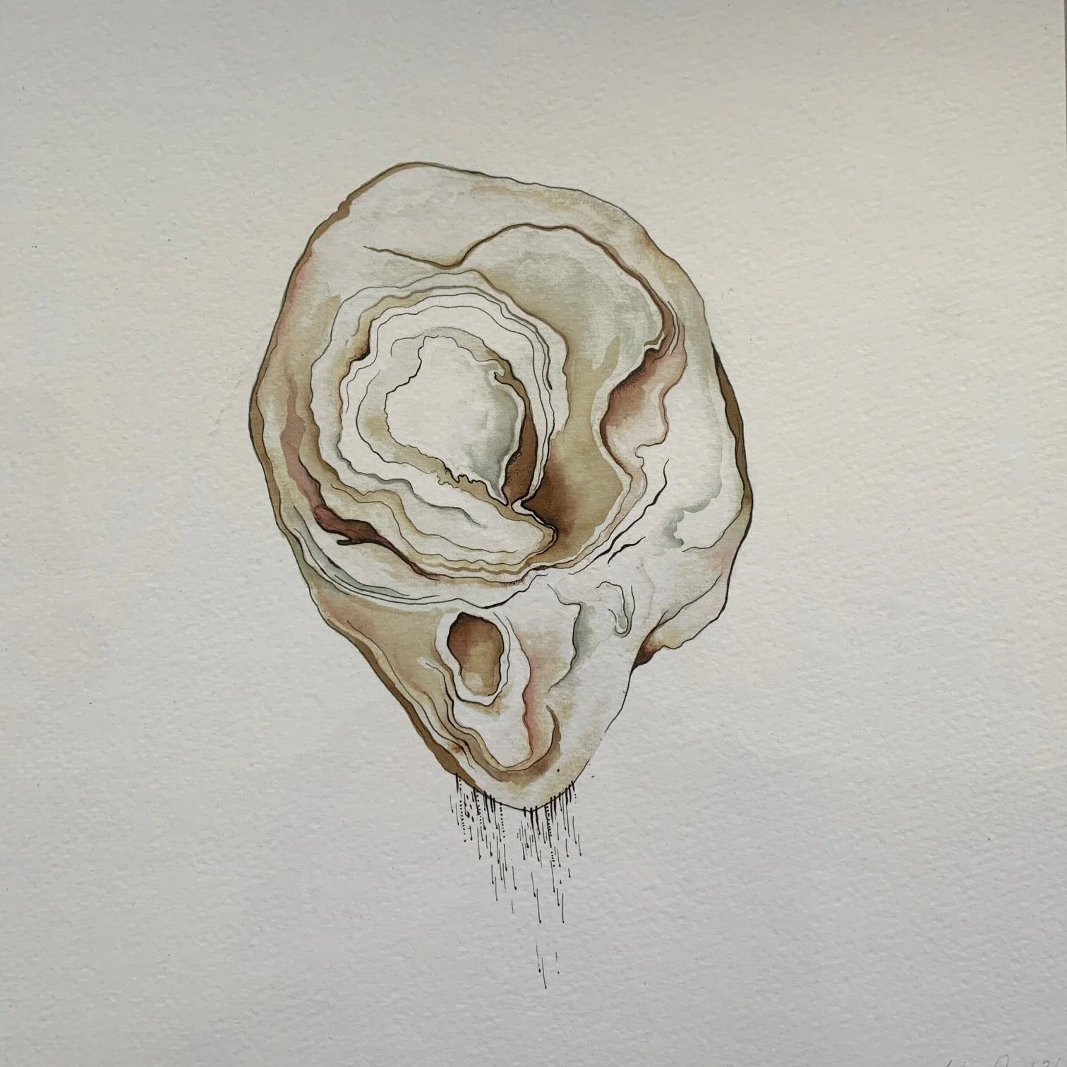 Rock Portrait 3#.JPG