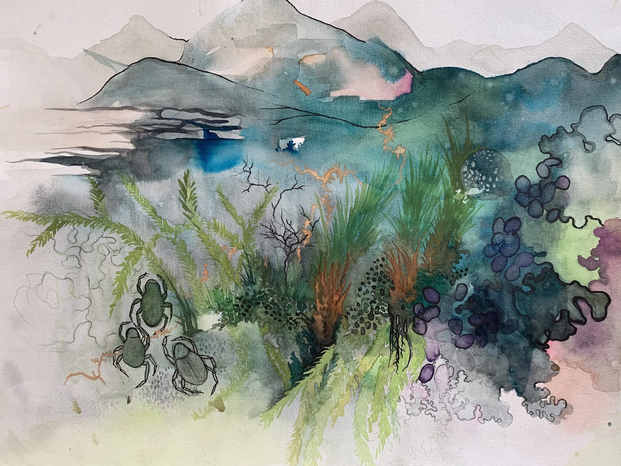 Ecology 101 Intro: 1st August 10-2pm