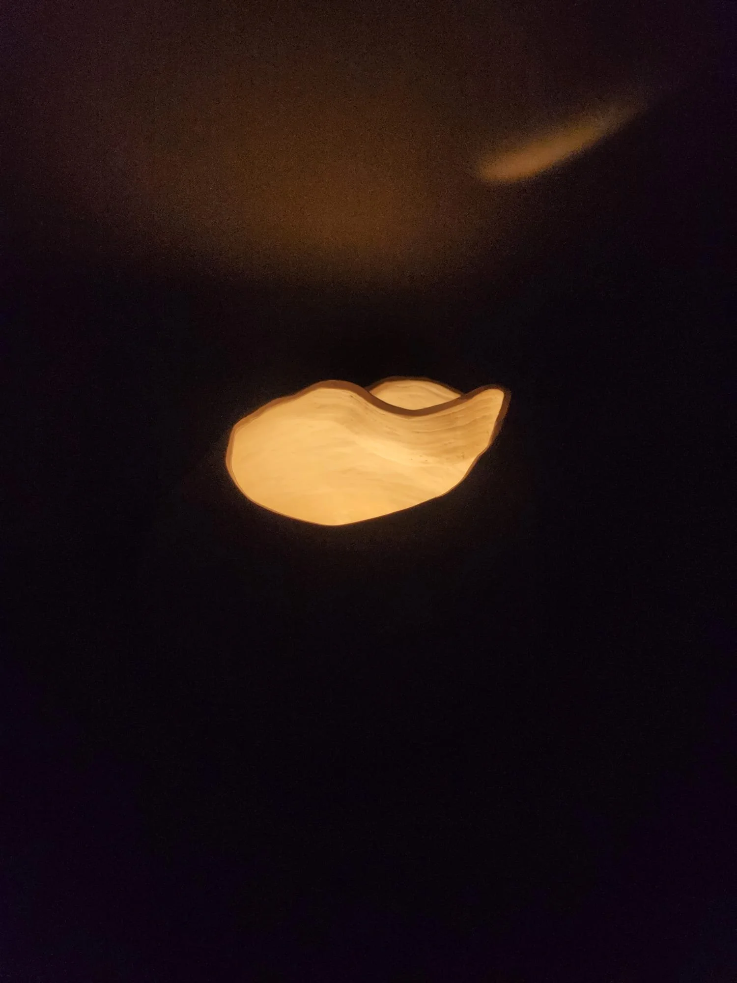 WhatsApp Image 2026-01-15 at 22.19.00 (1).jpeg